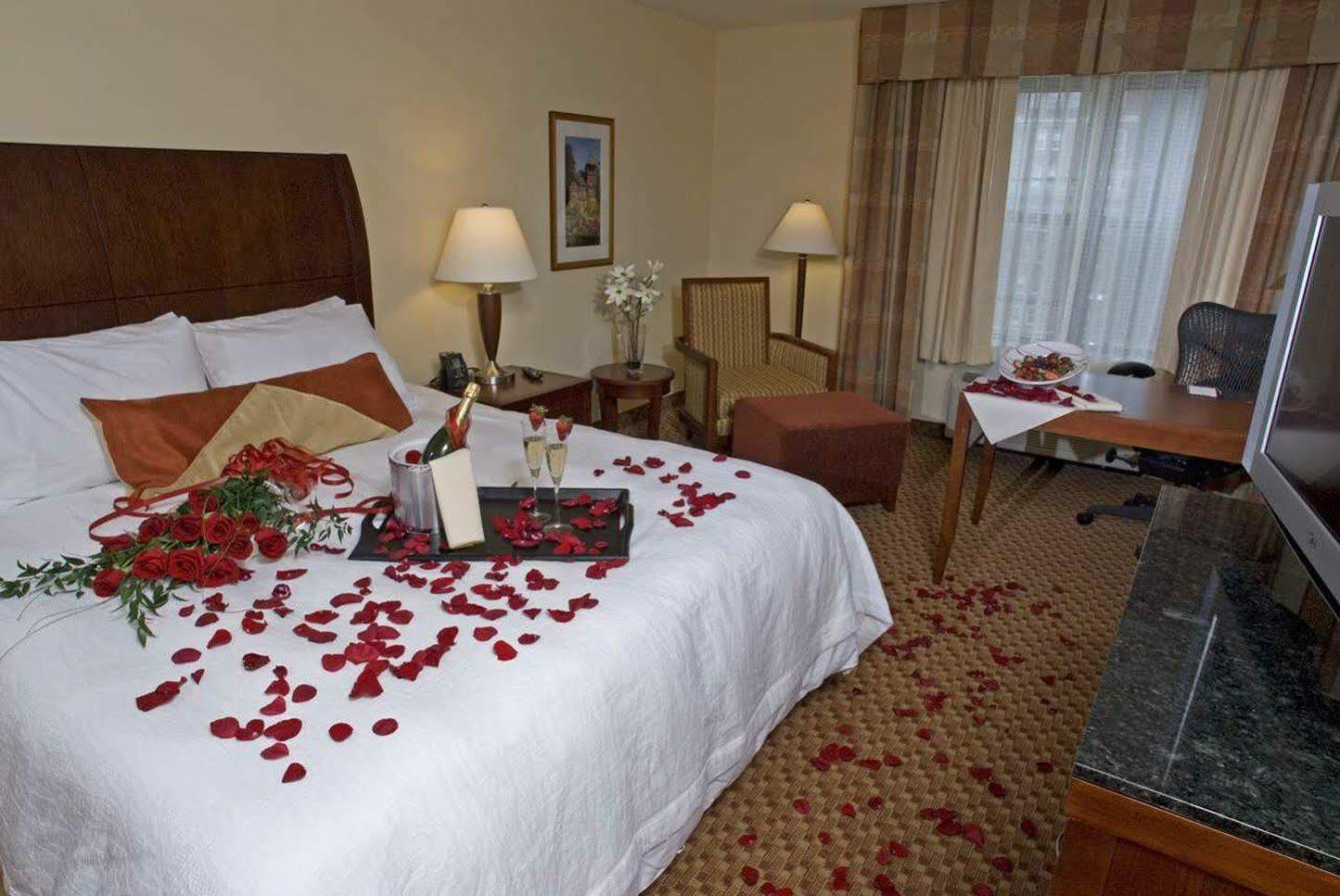 Hilton Garden Inn Albany Medical Center Eksteriør bilde